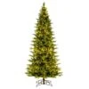 Vickerman Pre-Lit Artificial Christmas Tree (673836) -Roman Shop 673836lg