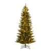 Vickerman Prelit Artificial Christmas Tree (673898) 1 Vickerman Prelit Artificial Christmas Tree (673898) -Roman Shop 673898lg