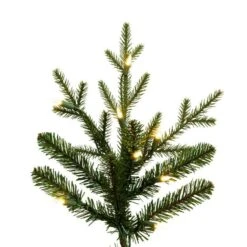 Vickerman Pre-Lit Artificial Christmas Tree (675618) -Roman Shop 675618closemd