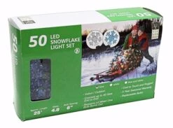 Vickerman Christmas Light String Set (68522) -Roman Shop 68522Boxmd