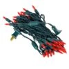 Vickerman LED String Set (687758) 1 Vickerman LED String Set (687758) -Roman Shop 687758lg