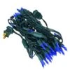 Vickerman LED Christmas Light Set (687765)