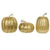 Vickerman Ornament (3 Pack) (691137) -Roman Shop 691137lg