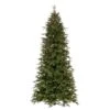 Vickerman Slim Pre-Lit Artificial Christmas Tree (692011) -Roman Shop 692011lg