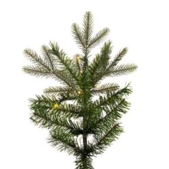 Vickerman Slim Pre-Lit Artificial Christmas Tree (692011) -Roman Shop 692011tipmd