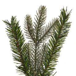 Vickerman Unlit Artificial Christmas Teardrop (692455) -Roman Shop 692455tipsmd