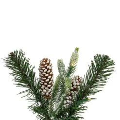 Vickerman Unlit Artificial Christmas Garland (718414) -Roman Shop 718414tipmd
