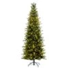 Vickerman Prelit Artificial Christmas Tree (725511) -Roman Shop 725511lg