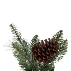 Vickerman Artificial Garland (726150) -Roman Shop 726150closermd