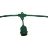 American Lighting Light String (99728) 1 American Lighting Light String (99728) -Roman Shop 99728lg