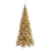 Vickerman Pre-Lit Christmas Tree (Includes On/Off Foot Switch) (28370) -Roman Shop Champagne20Slimlg 1
