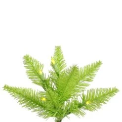 Vickerman Pre-Lit Christmas Tree (Includes On/Off Foot Switch) (28245) -Roman Shop Lime20Fir20Branchmd 1