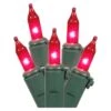 Vickerman Christmas Light String Set (17535) 1 Vickerman Christmas Light String Set (17535) -Roman Shop XMasGreenWirePinkBulblg
