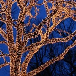 American Lighting LED String Light Set (99247) -Roman Shop treemd